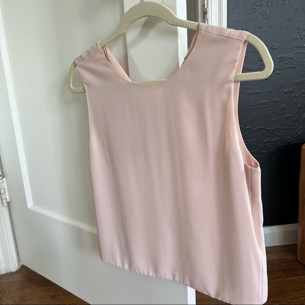 Aritzia Babaton Day Blouse